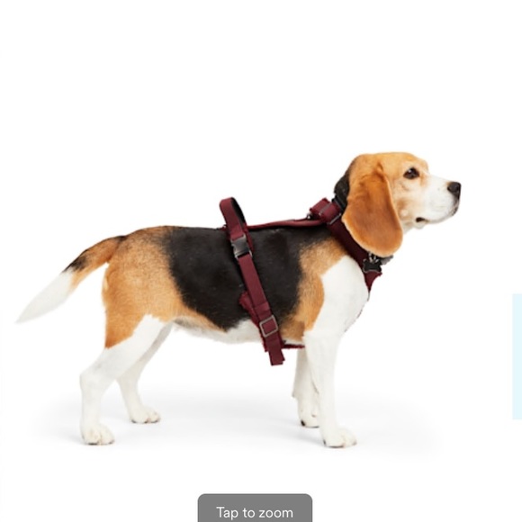 New! Reddy burgundy red fleece/ suede Dog Harness (medium)